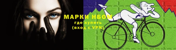 сатива Абинск