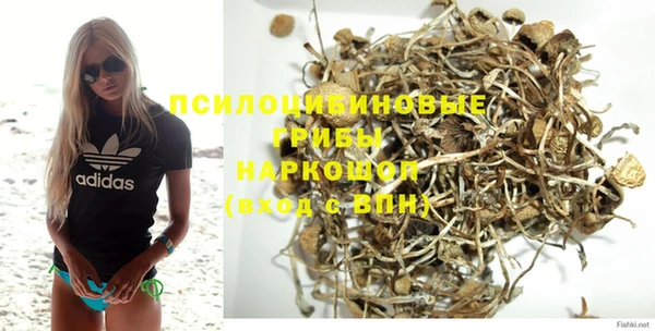 прущая мука Абаза