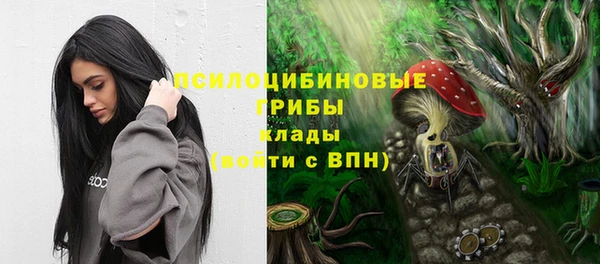 сатива Абинск