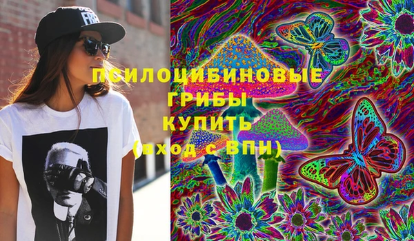 сатива Абинск
